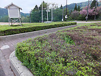 Dscf0520