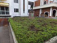 Dscf0521