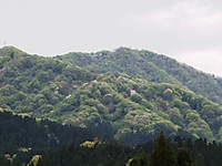Dscf0524