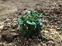 Dscf0507