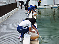 Dscf0599