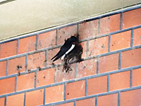 Dscf0641