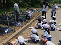 Dscf0695