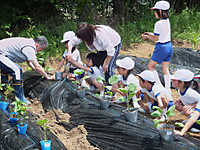 Dscf0699