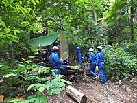 Dscf0952