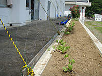 P6040013