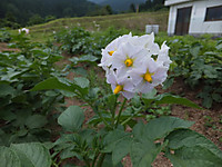 Dscf1169