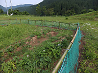 Dscf1515