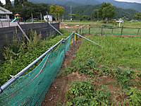 Dscf1516
