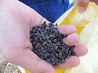 Dscf2412
