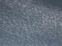 Dscf2905