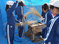 Dscf3006