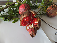 Dscf3107
