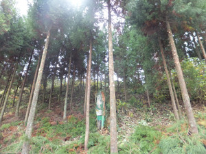 Dscf3461