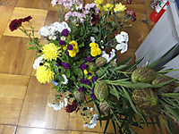 Dscf3516