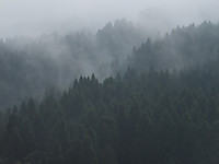Dscf3517