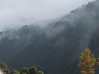 Dscf3518