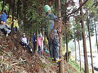 Dscf3734