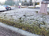 Dscf4122