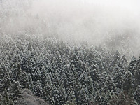 Dscf4184