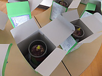 Dscf4420