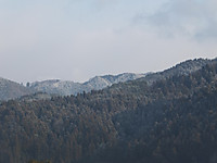 Dscf4440