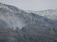 Dscf4441