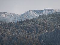 Dscf4442