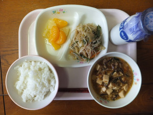Dscf5305