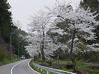 Dscf5316
