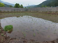 Dscf5802
