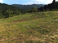 Dscf5908