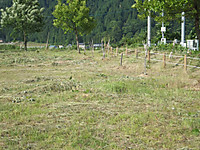 Dscf5910