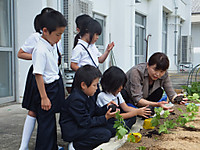 Dscf5744