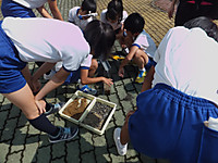 Dscf7184