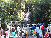 Dscf7236