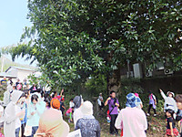 Dscf7239