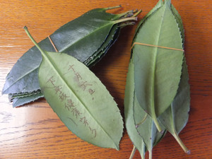 Dscf7268