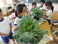 Dscf9287_640x480