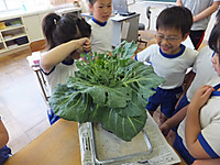 Dscf9288_640x480