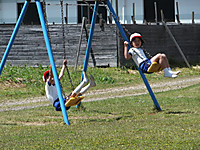 Dscf9326_640x480