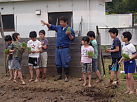 P5200016_1024x768