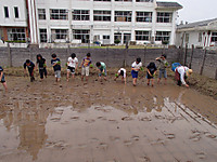 P5200034_1024x768_2