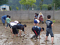P5200050_1024x768