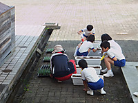 Dscf9476