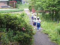 Dscf9486_1024x768_2