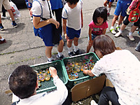 Dscf9880