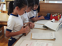 Dscf1339_640x480