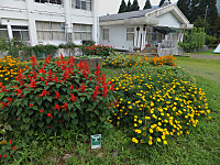 Dscf0528_800x600