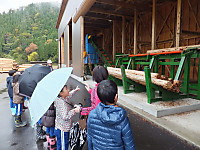 Dscf2022_800x600